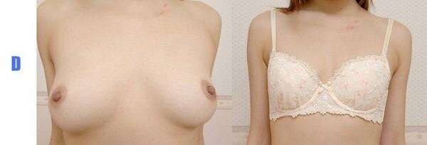 breast size 05 (600x204, 11Kb)