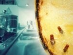 Советы: как избавиться от кухонных раздражителей Советы: как избавиться от кухонных раздражителей