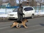Данные видеорегистраторов помогли раскрыть убийство школьницы в Уссурийске Данные видеорегистраторов помогли раскрыть убийство школьницы в Уссурийске