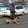 Данные видеорегистраторов помогли раскрыть убийство школьницы в Уссурийске Данные видеорегистраторов помогли раскрыть убийство школьницы в Уссурийске