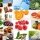 20 продуктов, сжигающих жиры и регулирующих обмен веществ