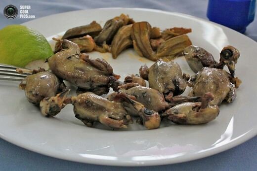 Амбелопулия. Блюдо из певчих птиц на Кипре. Фотографии